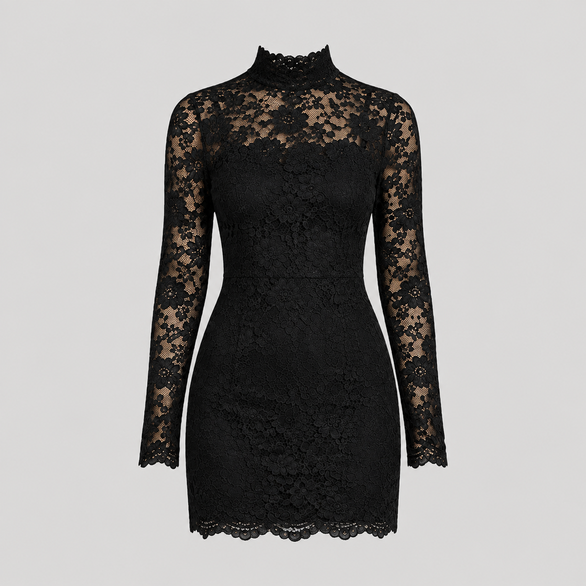 Effie Sheer Long Sleeve Bodycon Lace Mini Dress